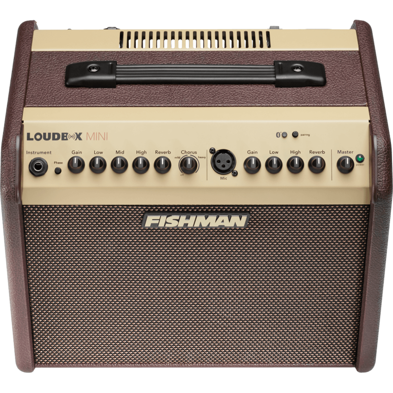 FISHMAN PRO-LBT-500 loudbox mini bluetooth