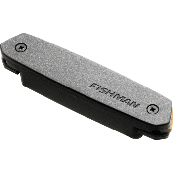 FISHMAN PRO-NEO-D02 neo-d double bobinage