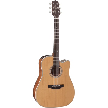 TAKAMINE GD20CENS gd20ce-ns natural satin
