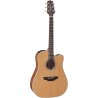 TAKAMINE GD20CENS gd20ce-ns natural satin