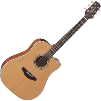 TAKAMINE GD20CENS gd20ce-ns natural satin