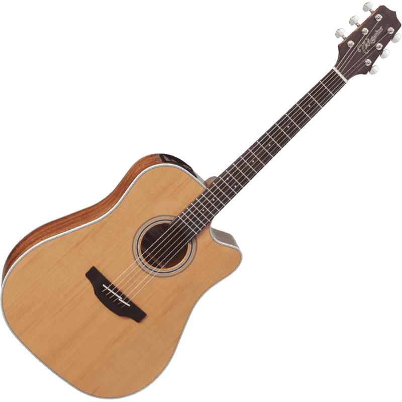 TAKAMINE GD20CENS gd20ce-ns natural satin