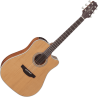 TAKAMINE GD20CENS gd20ce-ns natural satin
