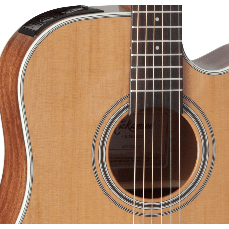 TAKAMINE GD20CENS gd20ce-ns natural satin