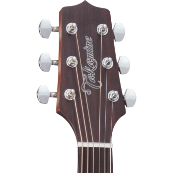 TAKAMINE GD20CENS gd20ce-ns natural satin