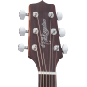 TAKAMINE GD20CENS gd20ce-ns natural satin