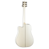 TAKAMINE GD37CE-PW guitare e/a gd37ce-pw pearl white