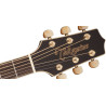 TAKAMINE GD71CEBSB gd71ce-bsb brown sunburst