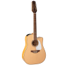 TAKAMINE GD74CE-12UNAT guitare e/a gd74ce-12unat natural