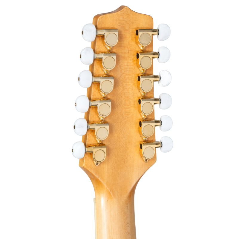 TAKAMINE GD74CE-12UNAT guitare e/a gd74ce-12unat natural