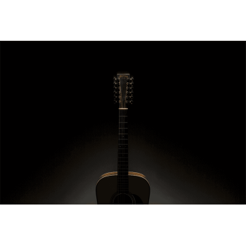 MARTIN HD12-28-GE hd12-28