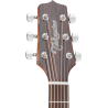 TAKAMINE GF30CEBSB gf30ce-bsb brown sunburst
