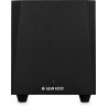 ADAM AUDIO T10S