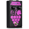 AGUILAR GRAPE-V2 graphe phase v2