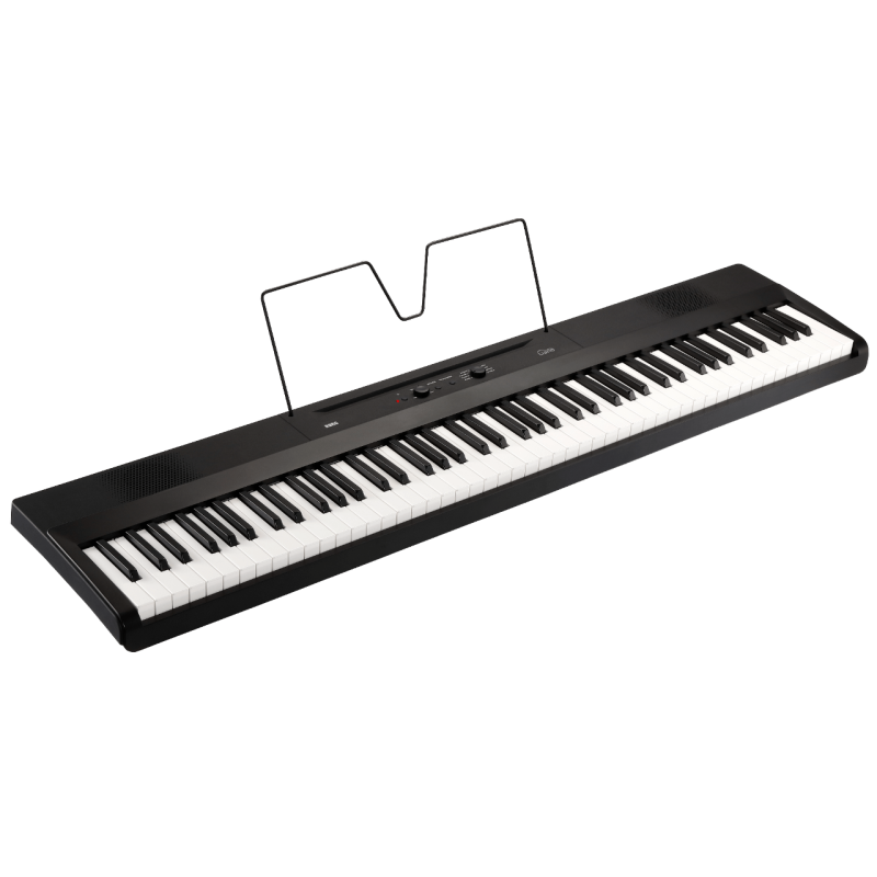 KORG L1-BK piano l1 noir