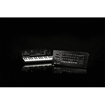 KORG MINILOGUE-XD-MODULE minilogue xd module