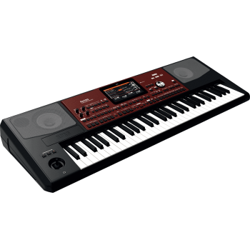 KORG PA700 clavier arrangeur pa700