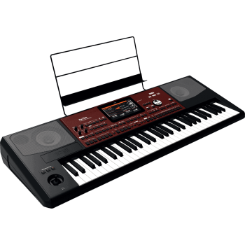 KORG PA700 clavier arrangeur pa700
