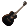 LAG TBW1TE guitare acoustique bluewave 1 travel électro