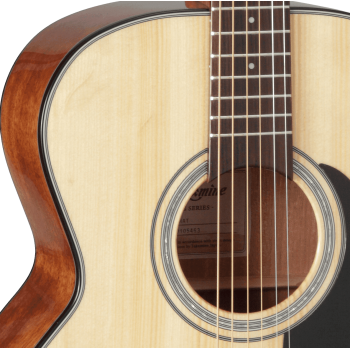TAKAMINE GN30NAT gn30-nat natural