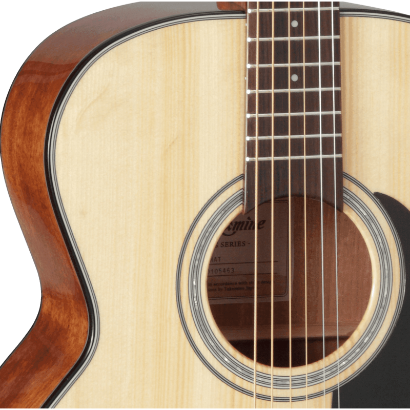 TAKAMINE GN30NAT gn30-nat natural