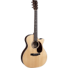 MARTIN GPC-16E-ROSEWOOD guitare acoustique gpc-16e rosewood