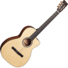 MARTIN 000C12-16E-N 000c12-16e nylon