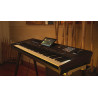 KORG PA5X-OR76 clavier arrangeur pa5x oriental 76