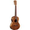 MARTIN T1K ukulélé t1k koa