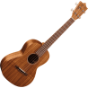 MARTIN T1K ukulélé t1k koa