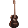 MARTIN T1-STREET ukulélé t1 streetmaster uke