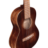 MARTIN T1-STREET ukulélé t1 streetmaster uke