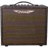 ASHDOWN WOODSMAN-PARLOUR ampli acoustique 25 watts