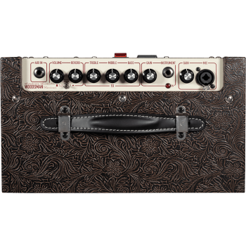 ASHDOWN WOODSMAN-PARLOUR ampli acoustique 25 watts