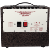ASHDOWN WOODSMAN-PARLOUR ampli acoustique 25 watts