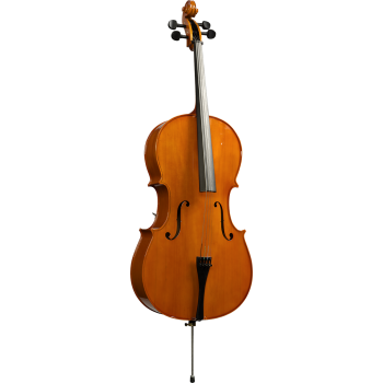 HERALD AS344 violoncelle massif
