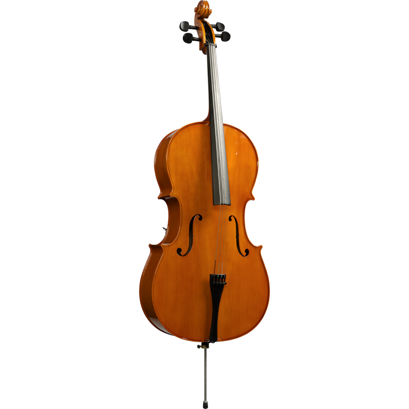 HERALD AS344 violoncelle massif