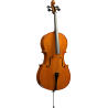 HERALD AS344 violoncelle massif
