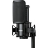 SHURE SM4-K-KIT micro sm4 avec suspension anti-pop et mallette