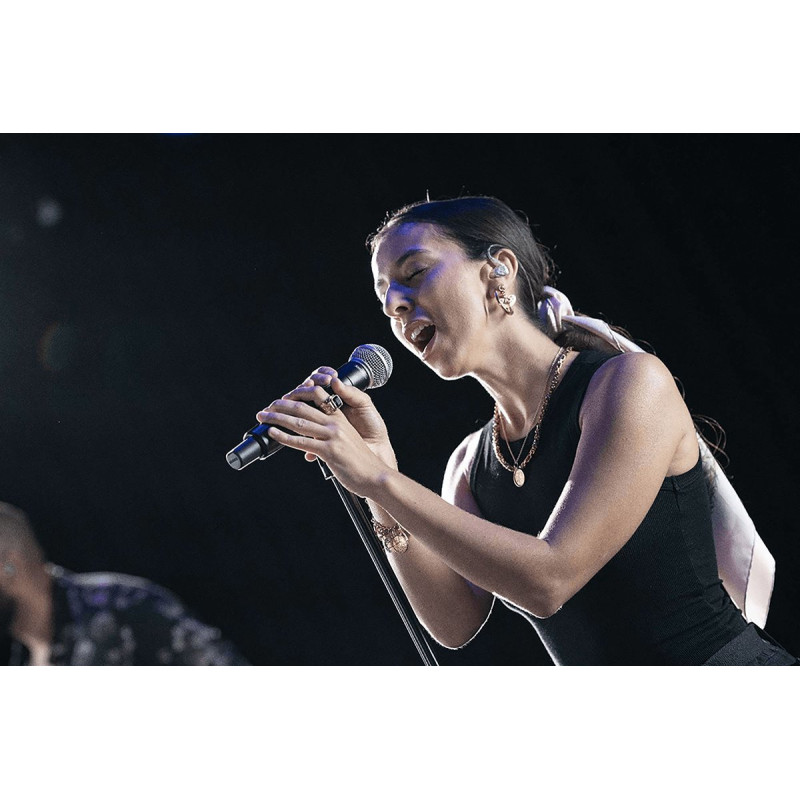 SHURE SM58SE micro voix dynamique cardio avec interrupteur