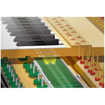 YAMAHA B2E TC3 PE Transacoustic noir brillant
