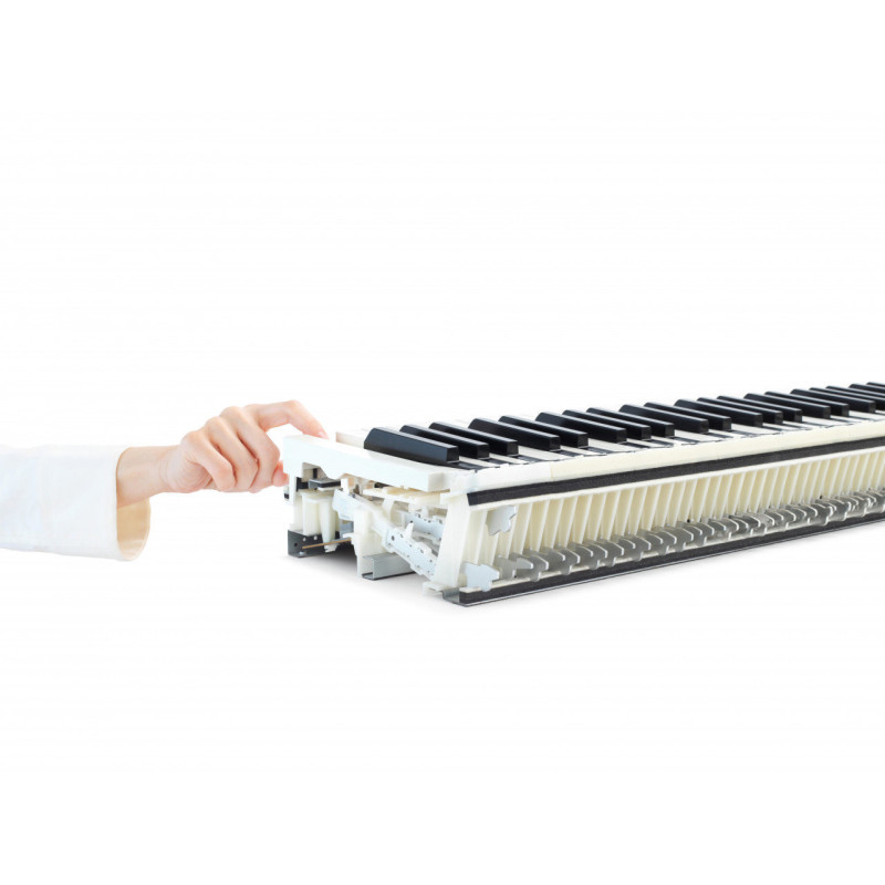 KAWAI CN 301 Black