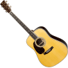 MARTIN D-42-L d-42 gaucher