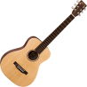 MARTIN LX1E guitare acoustique little martin lx1e électro-acoustique