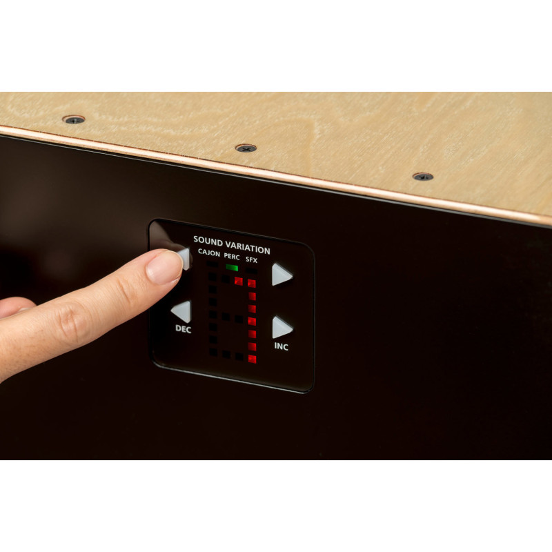 ROLAND EC-10 acoustic cajon avec electronic sound engine and in-built speaker pour sound layering