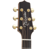 TAKAMINE P7NC p7nc natural gloss
