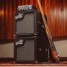AGUILAR SL1108 sl-110 1x10 150w 8ohms black