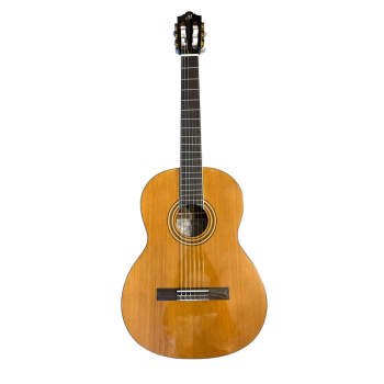 Pablo Mendes PMCG-60 guitare classique