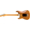 FENDER American Professional II Stratocaster touche palissandre Roasted Pine