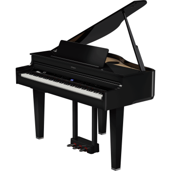 ROLAND GP-6-PE